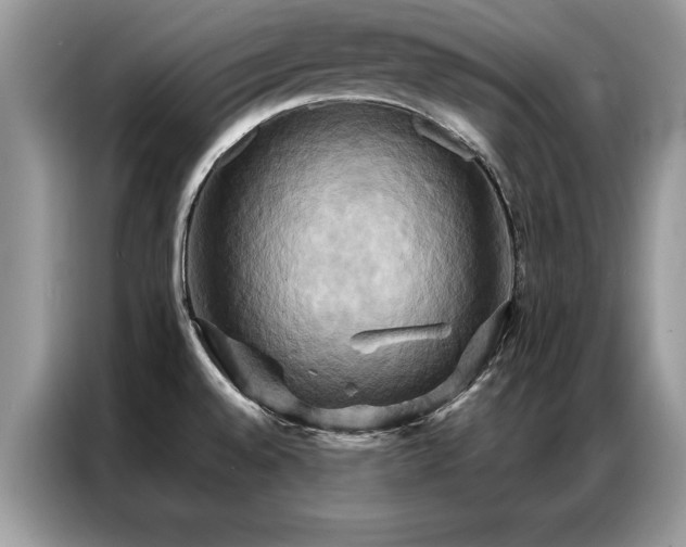 X0000087351528200704271410