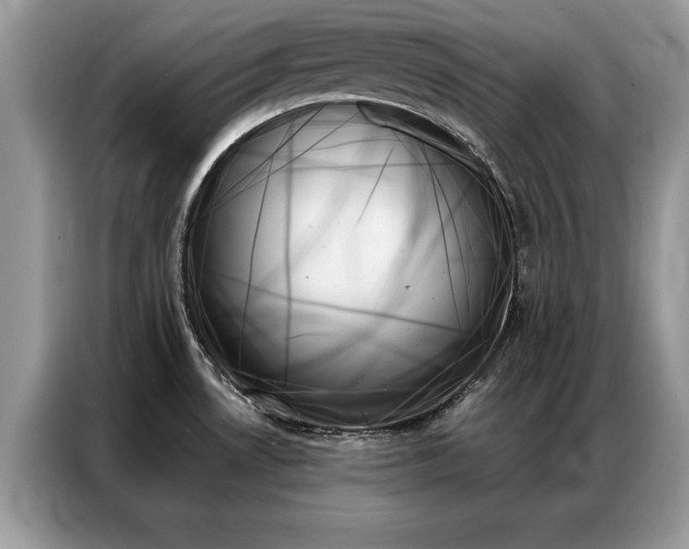 X0000087351530200704271410