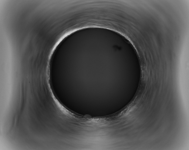 X0000087351531200704271410