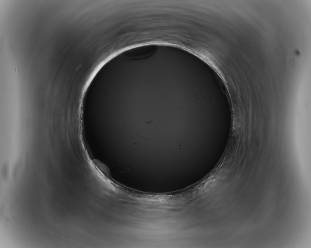 X0000087351532200704271410