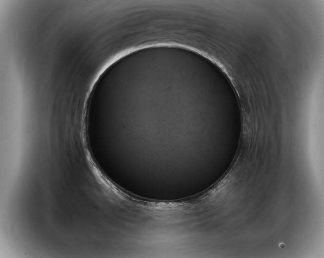 X0000087351534200704271410