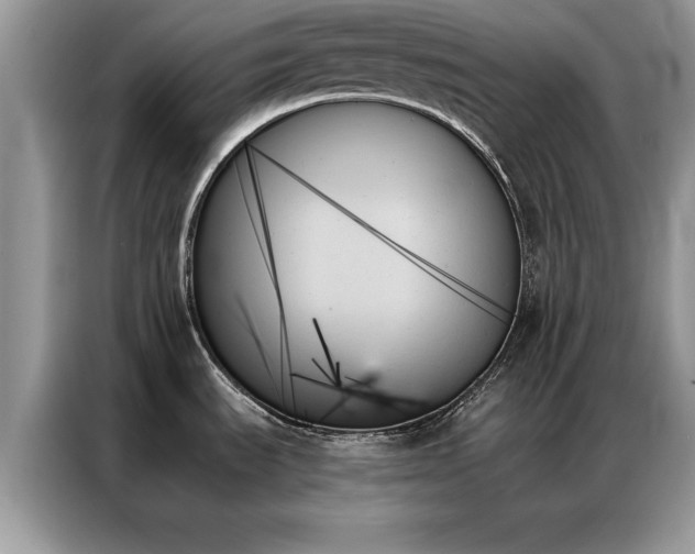 X0000087351535200704271410