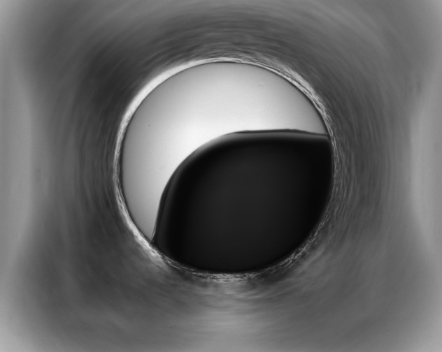 X0000087351536200704271410