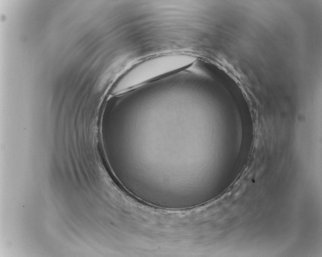 X0000087350002200705041842