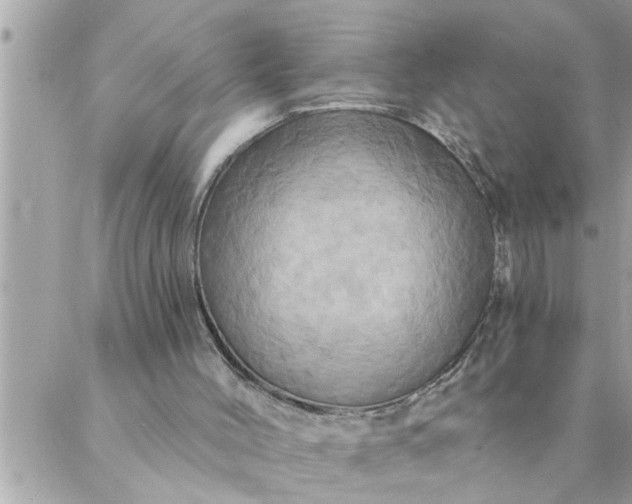 X0000087350004200705041842