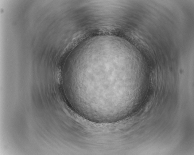 X0000087350038200705041841