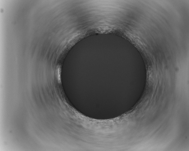 X0000087350042200705041841