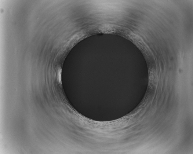 X0000087350046200705041841