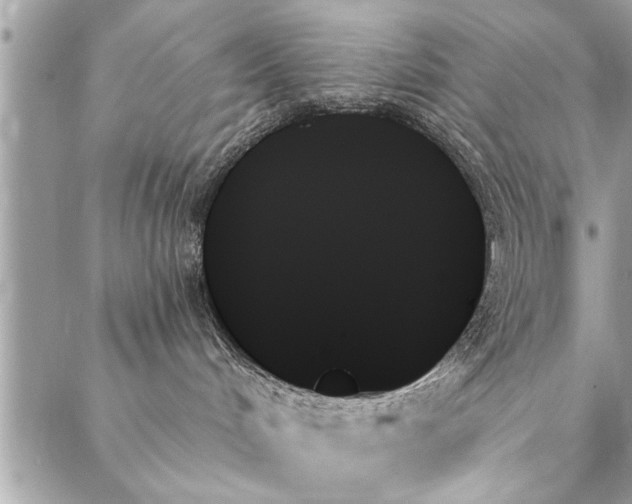 X0000087350048200705041841