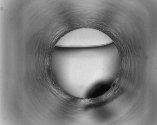 X0000087350092200705041841