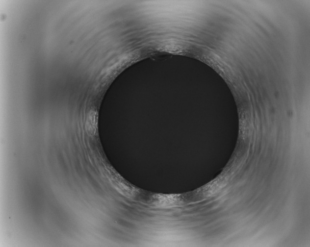 X0000087350093200705041841