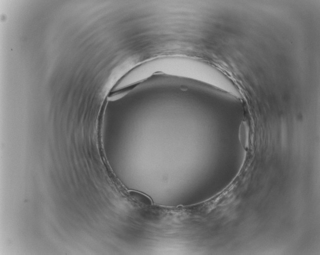 X0000087350099200705041840