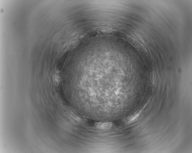 X0000087350135200705041839