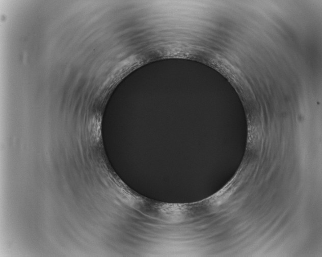 X0000087350142200705041839