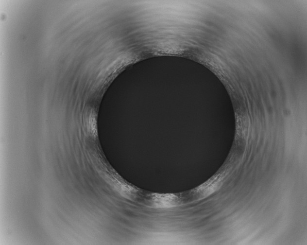 X0000087350143200705041839