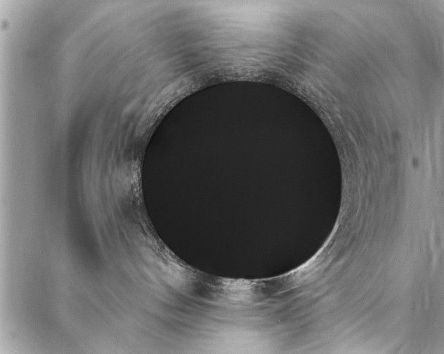 X0000087350144200705041839