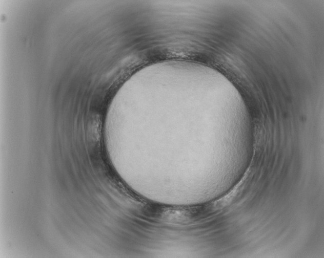 X0000087350174200705041839