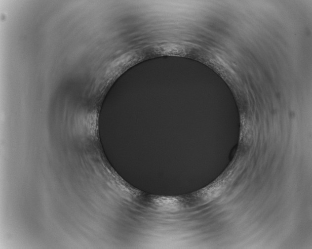 X0000087350189200705041839