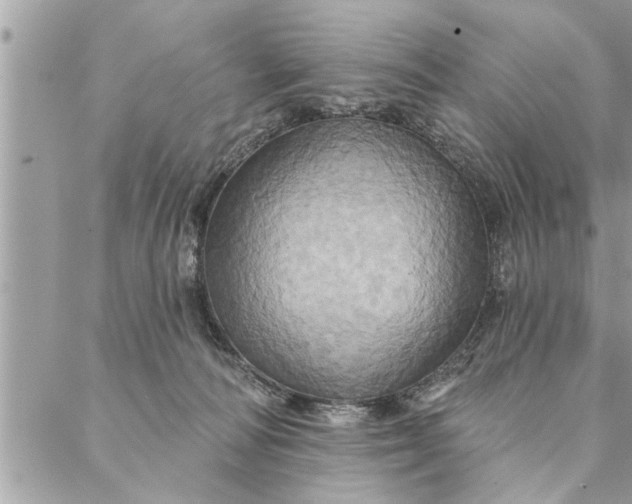 X0000087350226200705041838