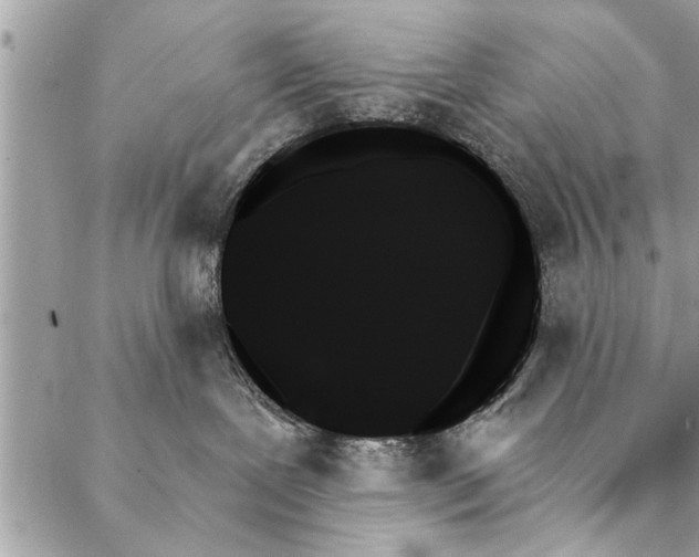 X0000087350239200705041838