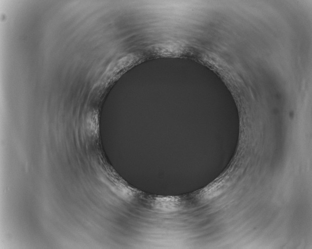 X0000087350240200705041838