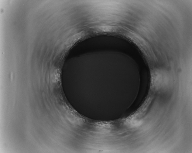 X0000087350284200705041838
