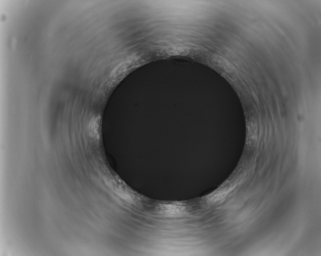 X0000087350286200705041838
