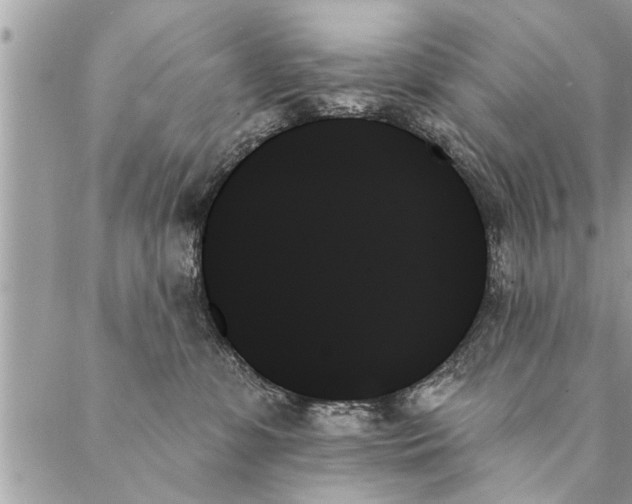 X0000087350331200705041836