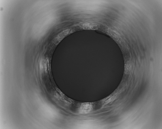 X0000087350335200705041836