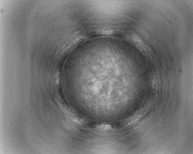 X0000087350374200705041836