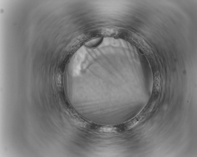 X0000087350375200705041836