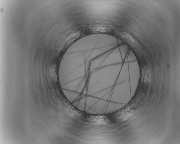 X0000087350377200705041836