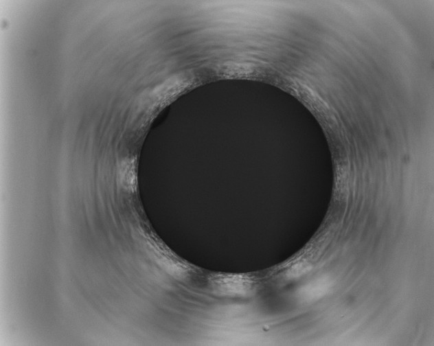X0000087350383200705041836