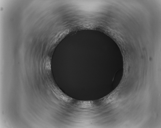 X0000087350384200705041836