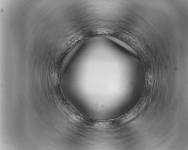 X0000087350422200705041835