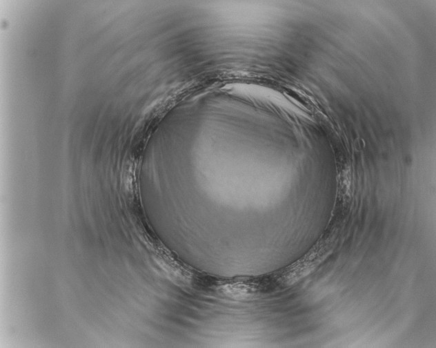 X0000087350423200705041835