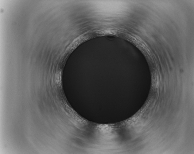 X0000087350425200705041835