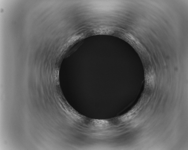 X0000087350429200705041835