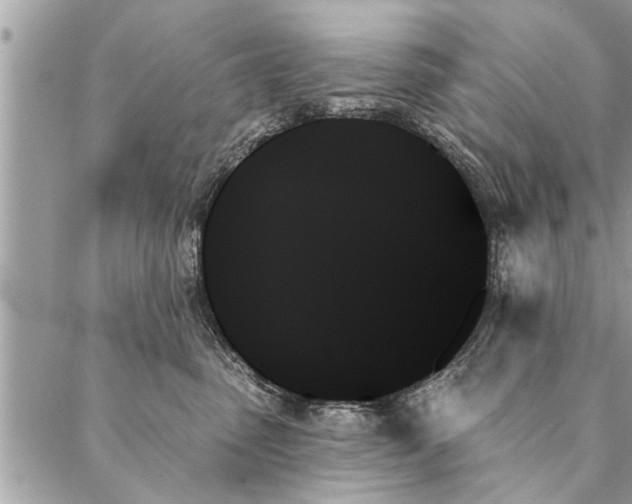 X0000087350475200705041835