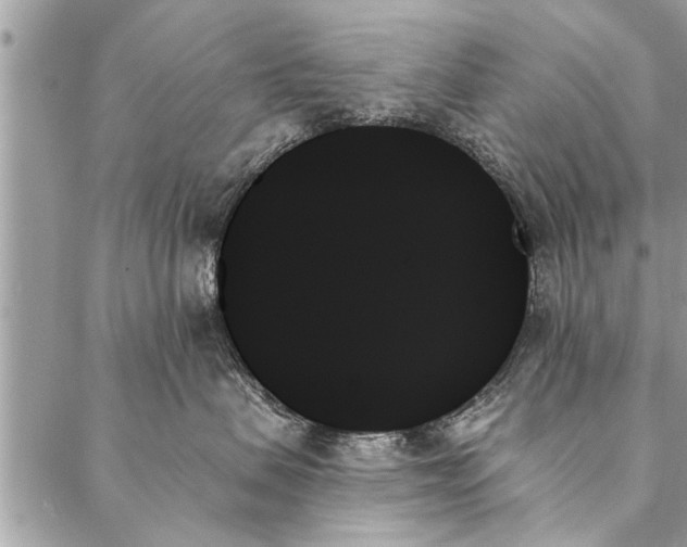 X0000087350479200705041835