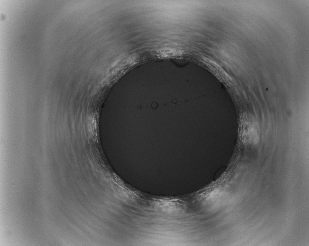 X0000087350523200705041833