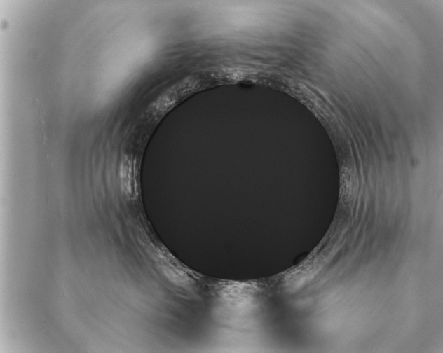 X0000087350527200705041833