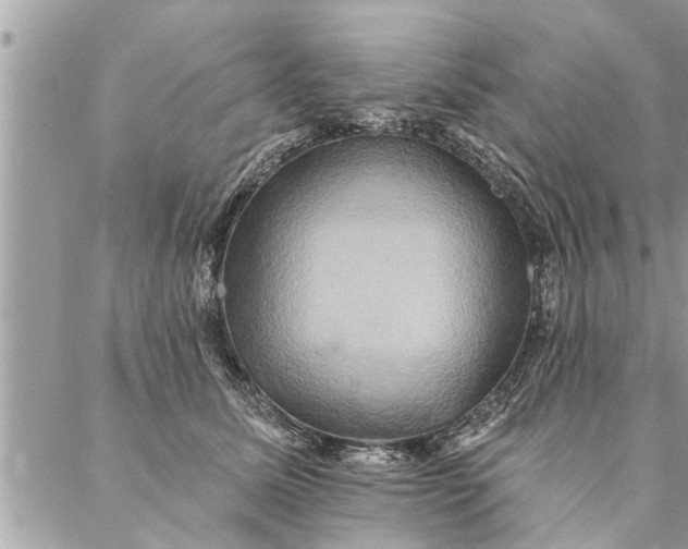 X0000087350611200705041832