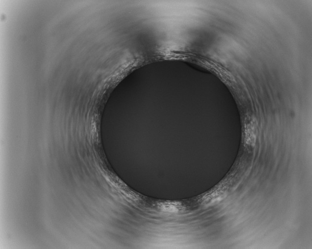 X0000087350618200705041832