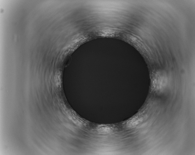 X0000087350620200705041832