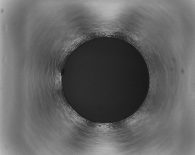 X0000087350624200705041831