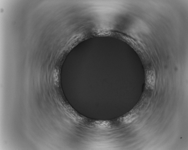 X0000087350667200705041831