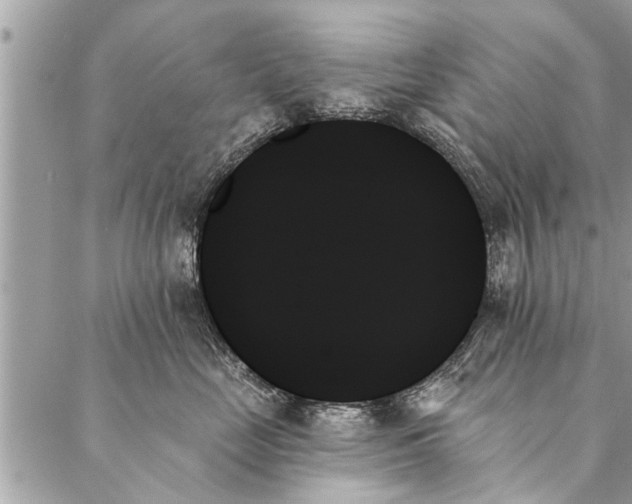 X0000087350669200705041831