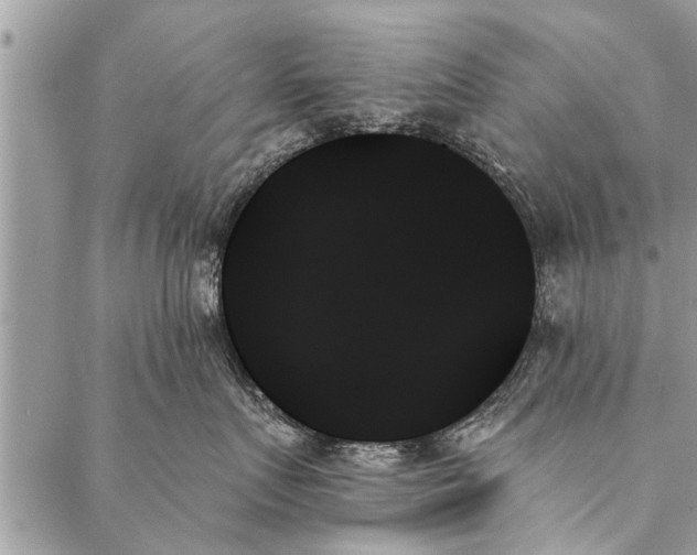 X0000087350719200705041830