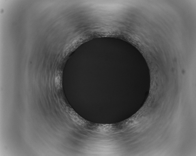 X0000087350720200705041830